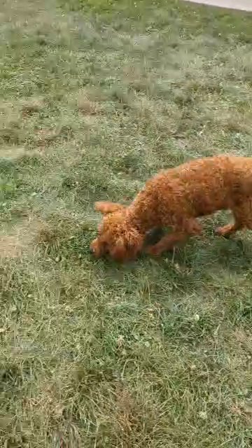 Turbo in Goshen, Indiana
