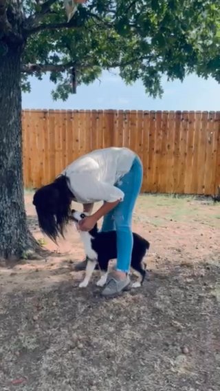 Buddy in Fort Worth, Texas