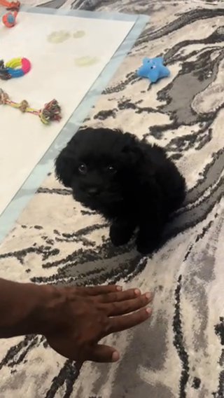 Faye Being Adorable in New York City, New York