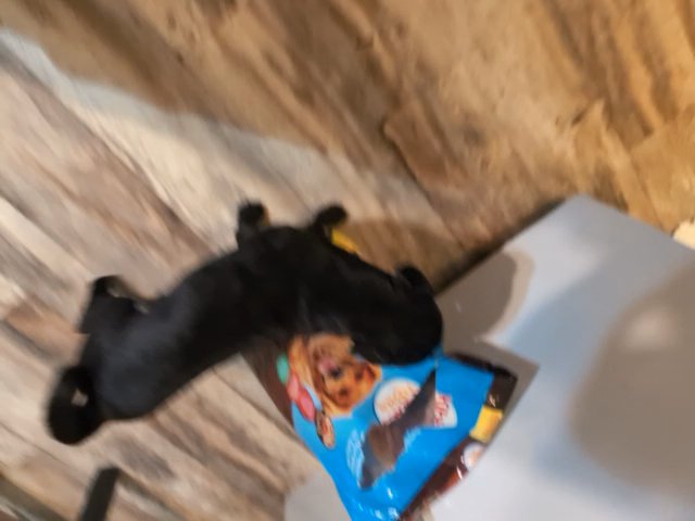 dogg in Mesquite, Texas