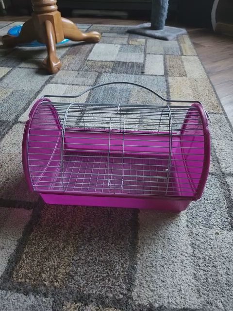 Md Carry Cage in Rome, Georgia