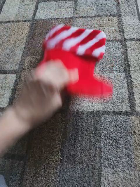 Pet Stocking in Rome, Georgia