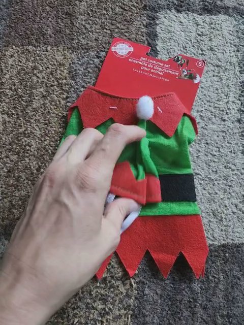 Christmas Dog Outfit in Rome, Georgia