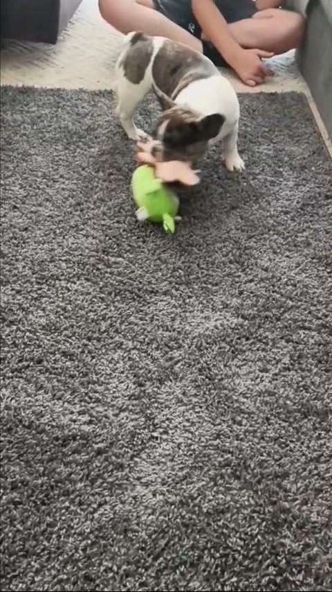 Liza in Pittsburgh, Pennsylvania