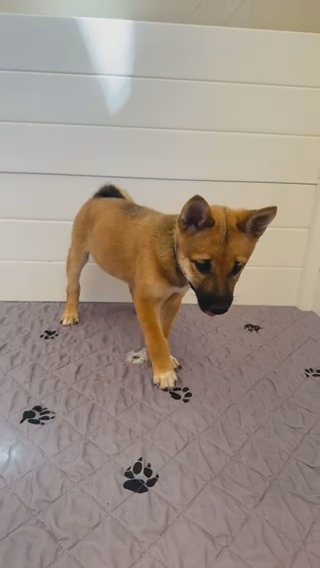 Green boy in Oroville, California