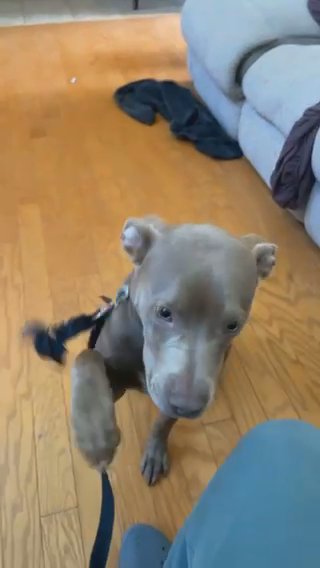 Hi, my name is Ghost. in Huntsville, Alabama