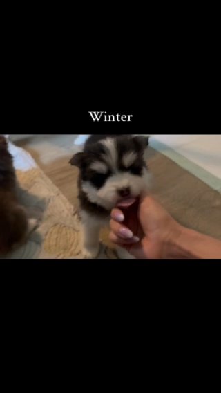 Winter in Dublin, Georgia