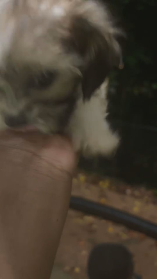 Tiny in Tucker, Georgia