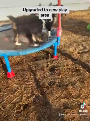 Outside Playing in Visalia, California