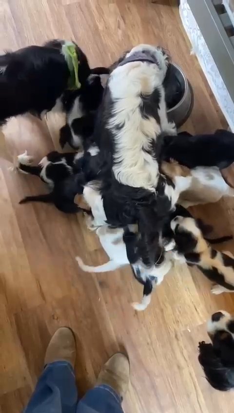 more new born lovelies in Palm Coast, Florida