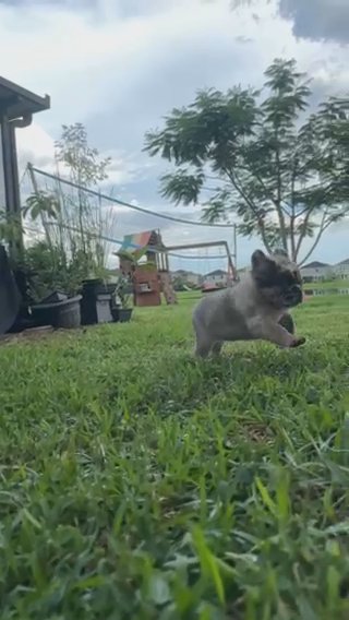 I’m not fat.. Im fluffy! in Tampa, Florida