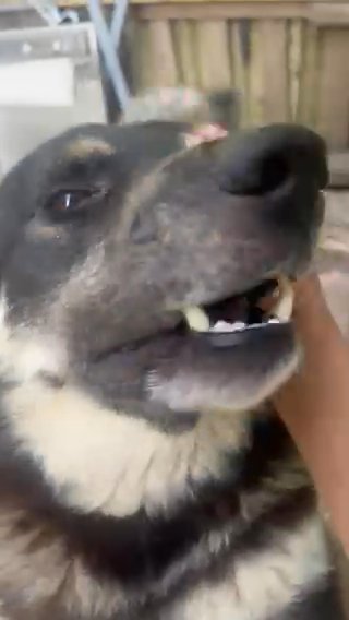 Ace in Wilmington, Delaware