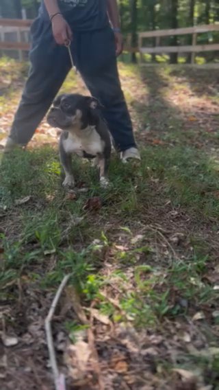 Suki in Atlanta, Georgia