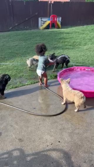 Rehoming Them All in Frisco, Texas