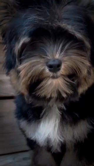 Cooper in Jackson, Tennessee