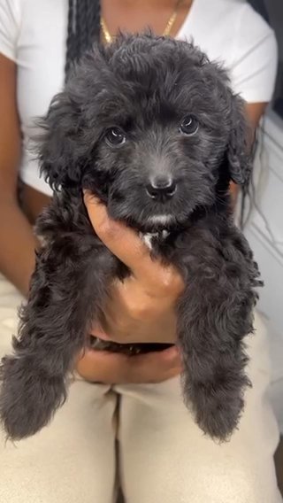 Cherie in Atlanta, Georgia