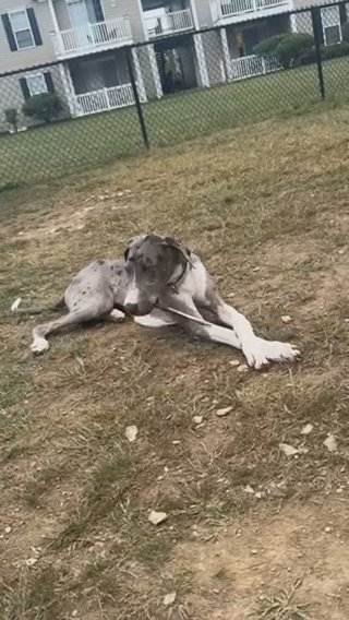 Maggie in Franklin Park, Pennsylvania