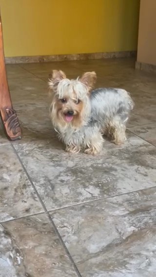 Silver in Riverside, California
