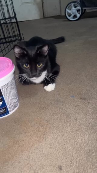 Diana in East Bakersfield, California