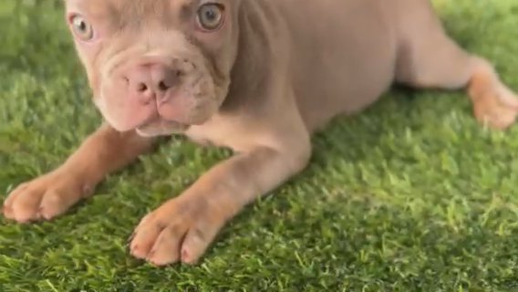 CASSIE in Fort Lauderdale, Florida