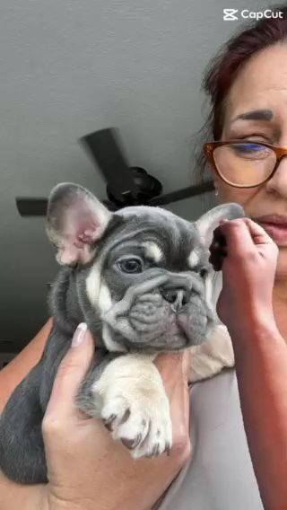 Last 3 Females Available in Orlando, Florida