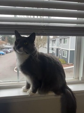 Creed in Vancouver, Washington