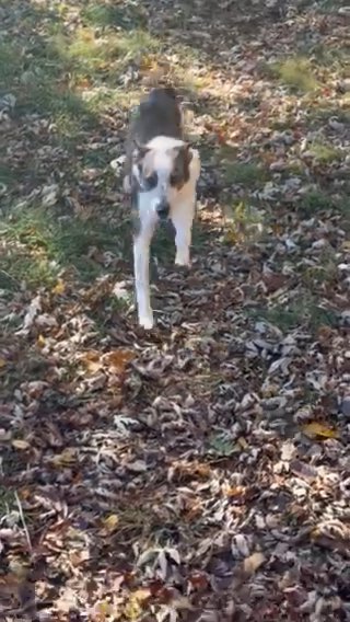 Tommy in Riverside, California