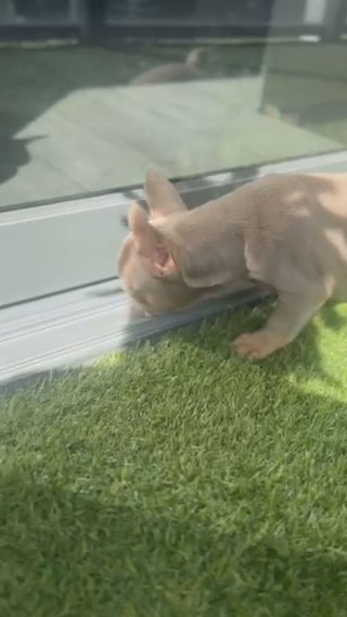 RAISIN in Fort Lauderdale, Florida