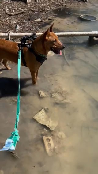 Hank in Houston, Texas