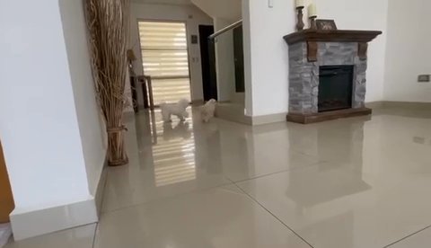 CASSIE in Fort Lauderdale, Florida