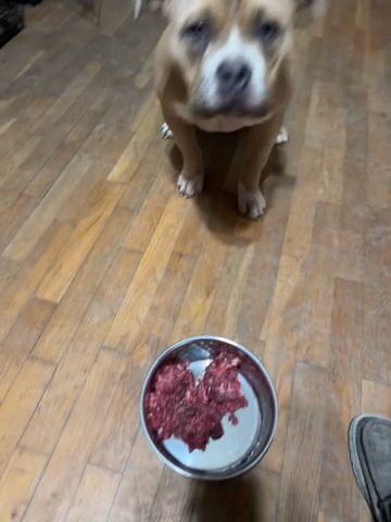 Big Fella Oliver in Fort Payne, Alabama