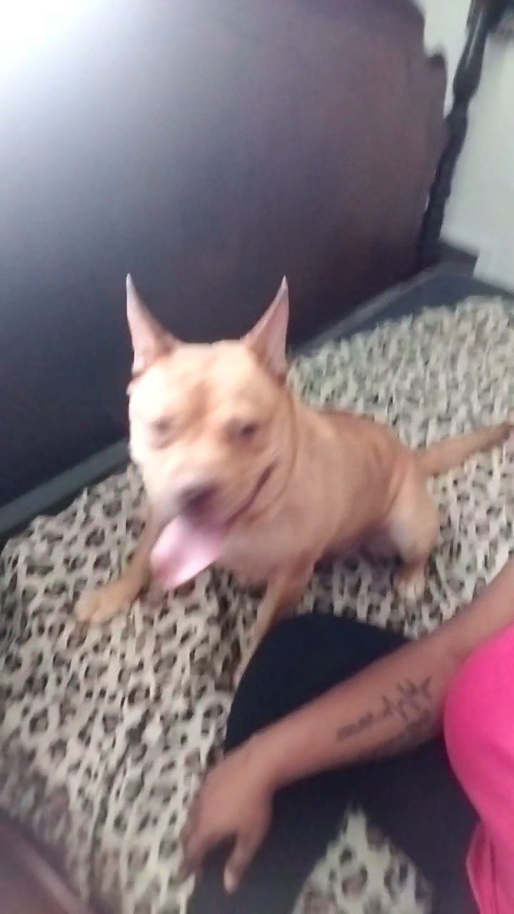 Luna in Charlotte, North Carolina