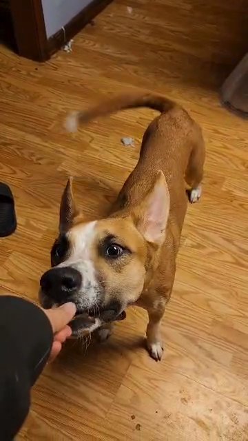 Coco in Wausau, Wisconsin