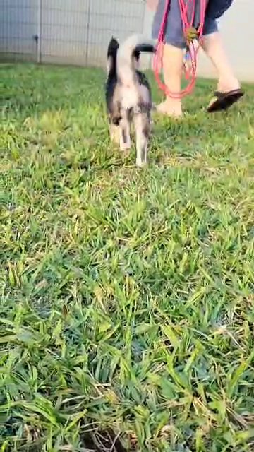 Gwen in Orlando, Florida
