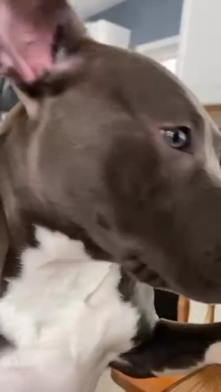 Luna in Minneapolis, Minnesota