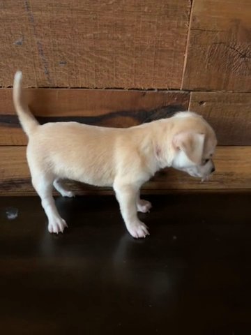 Butters in Urbana, Ohio