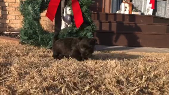 Darci in Hays, Kansas