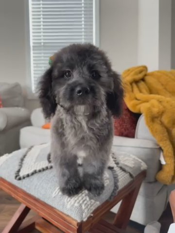 Cherie in Atlanta, Georgia
