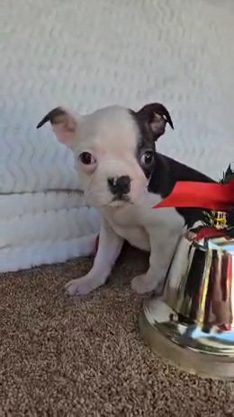 sweet little girl in Sayreville, New Jersey