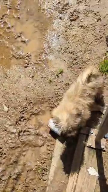 a little fun in the sun