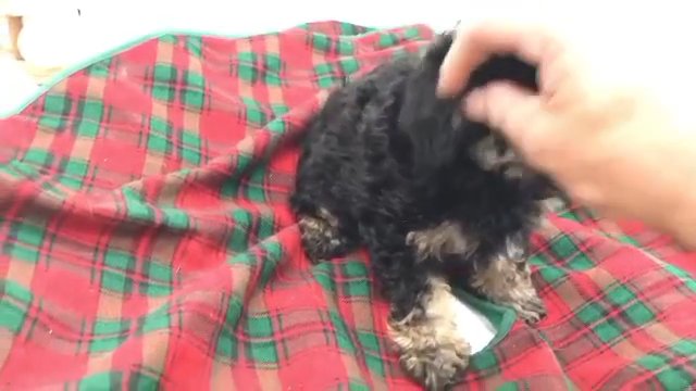 Hi I'm Star