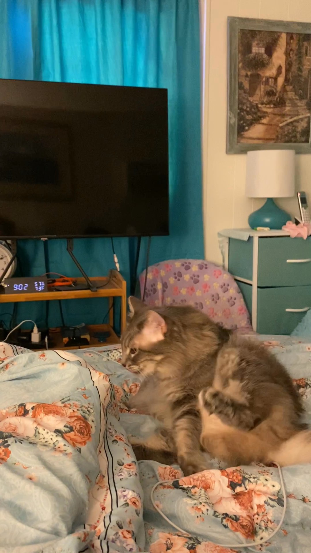 Ana needs new mom!