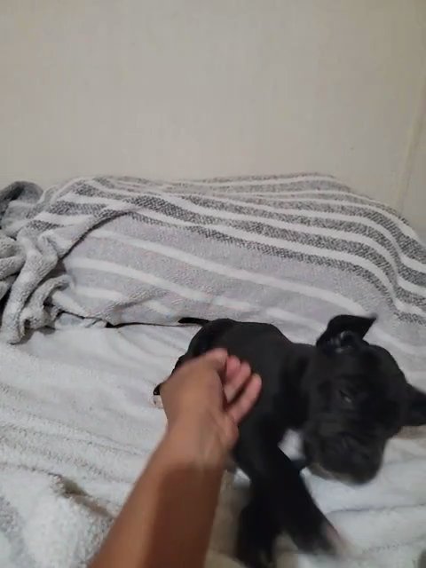 Meet Ben!!
