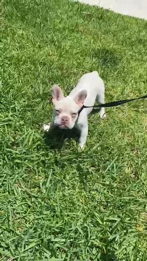 buster