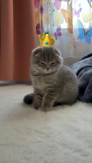 Olivia