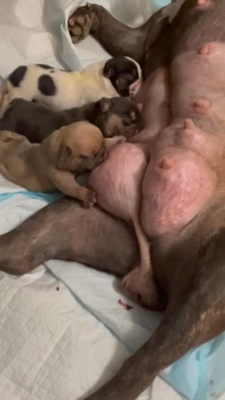 Chow Time ????