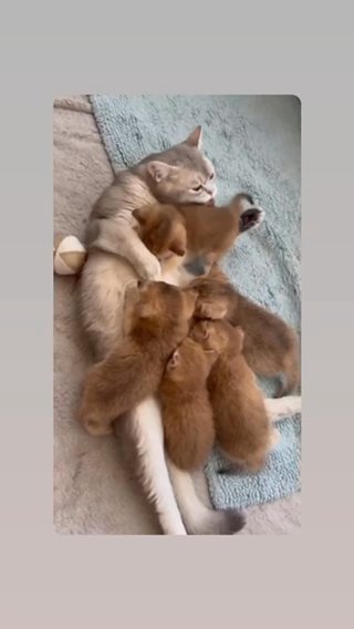 Happiness