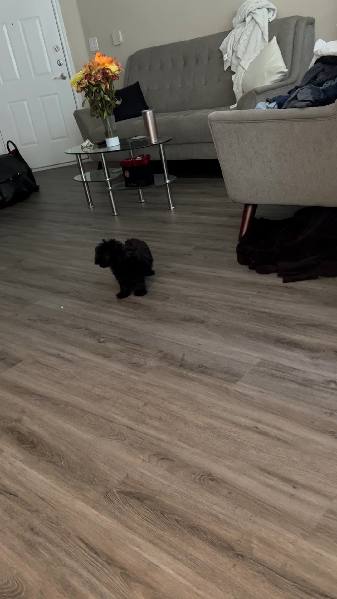 Multipoo
