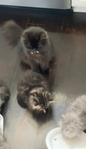 lunch time.
