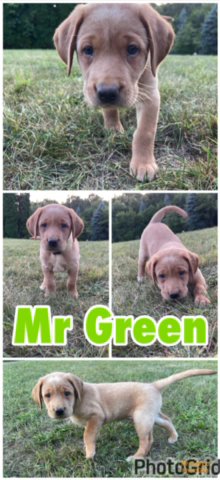 6 Weeks Old!
